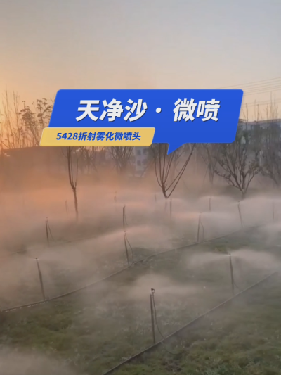 【天净沙&middot;微喷】枯藤老树昏鸦，草地仙境人家，地插微喷雾化，夕阳西下，灌溉，你问，我答！#5428折射雾化微喷头 #微喷 #华维集团