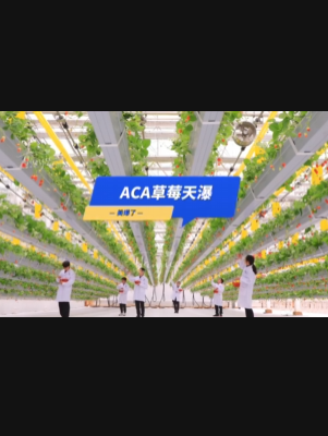 自由升降、追光生长。#ACA草莓天瀑，美爆了！向天再借500平！#ACA可控农业 #华维集团 #数字农业