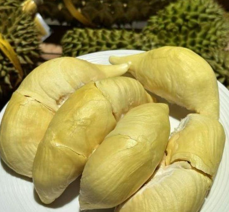 泰国甲仑榴莲
浓香满口，丝滑如奶油
甜甜糯糯，榴莲味浓郁
谁让它是泰国榴莲界的元