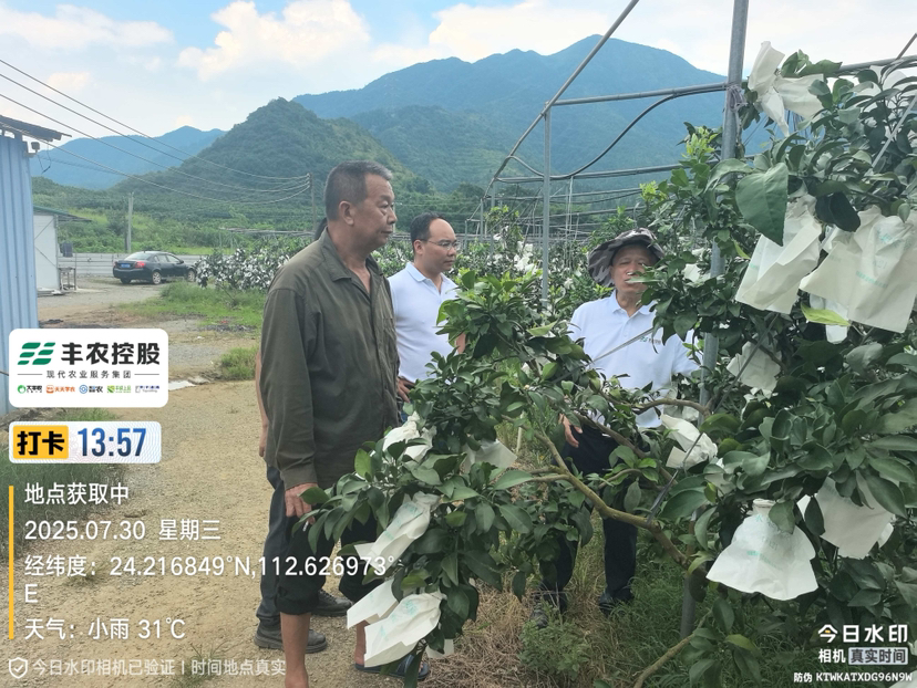 邓老师带队考察开发泰国红宝石基地。