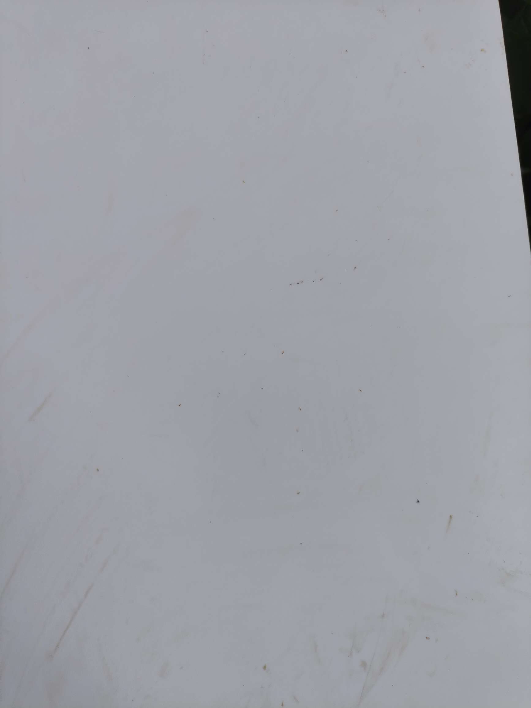 http://st-static1.ityfox.com/forums/2025/08/18/17555288245629.jpeg