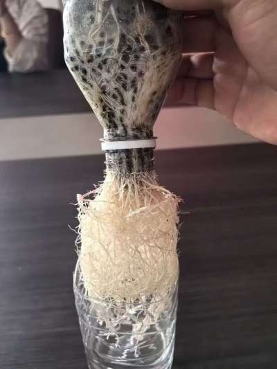 年销售量三十万吨的有机肥生产厂家，全国网点发货，资质齐全，正品保障！有机肥、生物菌肥、微生物肥料等