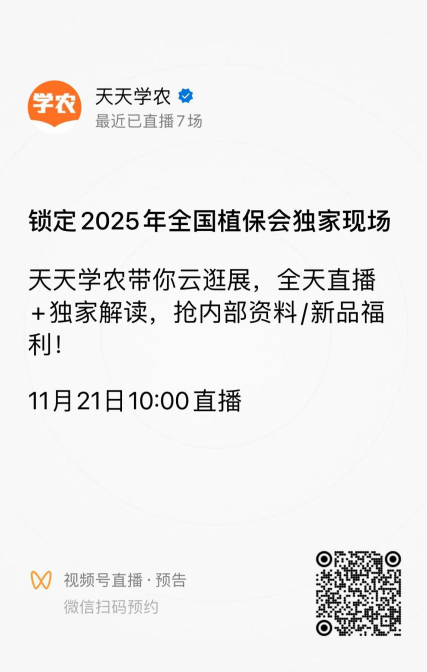 http://st-static1.ityfox.com/forums/2025/11/18/17634292668744.png