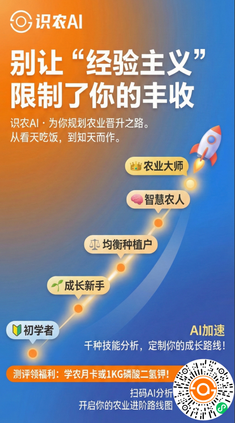 http://st-static1.ityfox.com/forums/2025/11/27/17642315792371.png