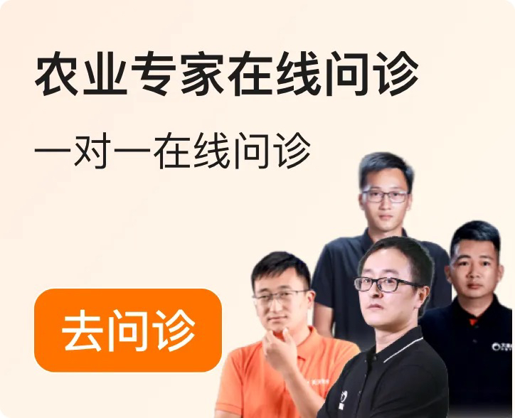 http://st-static1.ityfox.com/forums/2025/12/04/17648348949299.png