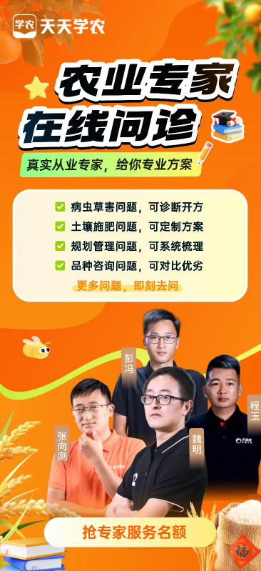 http://st-static1.ityfox.com/forums/2025/12/04/17648349249599.png