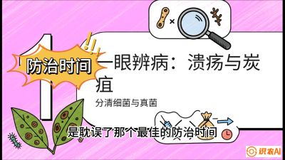 第三节：细菌与真菌&mdash;&mdash;溃疡病与炭疽病，课程：《柑橘十大病虫害：从入门到精通》