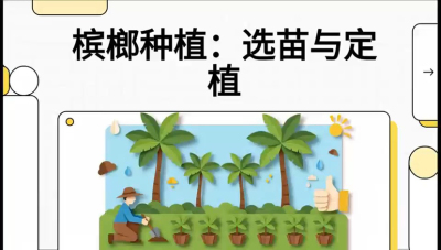 第01节：选苗与定植&mdash;&mdash;&ldquo;苗好一半收，底肥定千秋&rdquo;课程：《槟榔种植：从不懂到精通的10堂必修课》