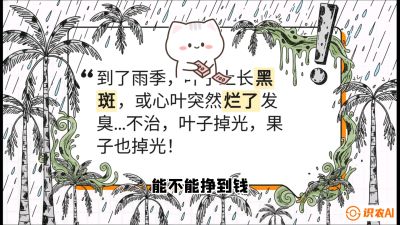 第05节：常见真菌病害&mdash;&mdash;&ldquo;炭疽与烂心，早防值千金&rdquo;《槟榔种植：从不懂到精通的10堂必修课》