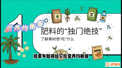第07节：科学施肥&mdash;&mdash;&ldquo;氮磷钾配好，树壮果不倒