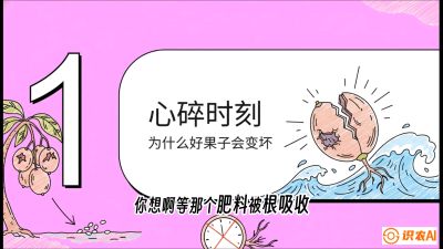 第08节：微量元素与保果&mdash;&mdash;&ldquo;补硼又补钙，果子不裂坏&rdquo;《槟榔种植：从不懂到精通的10堂必修课》