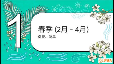第10节：周年农事日历&mdash;&mdash;&ldquo;跟着节气走，丰产在手头&rdquo;《槟榔种植：从不懂到精通的10堂必修课》