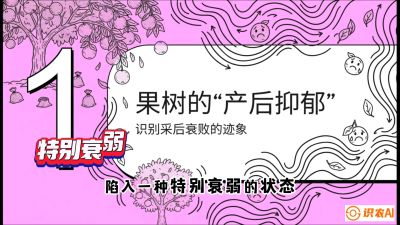 第2节：【冬肥策略】采后&ldquo;月子肥&rdquo;：大小年的精准干预术，课程：《柑橘底肥&ldquo;翻身账&rdquo;：从改土到高产的实战全书》