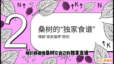 第04节：地下核动力&mdash;&mdash;桑树专用水肥一体化配方，课程：《桑海淘金：桑树高产与蚕桑安全进阶实战课》