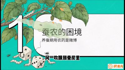 第06节：虫口夺叶（上）&mdash;&mdash;物理与生物防控绝技，课程《桑海淘金：桑树高产与蚕桑安全进阶实战课》