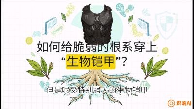 第三节：国产榴莲突围战：根系堡垒，菌根微生态构建与黄金定植窗口，课程：《国产榴莲突围战：从泰国经验到中国实操的8堂必修课（高阶实战版）》
