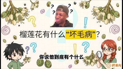 第六节：榴莲的午夜战事，夜间授粉战与花果期避雨策略，课程：《国产榴莲突围战：从泰国经验到中国实操的8堂必修课（高阶实战版）》