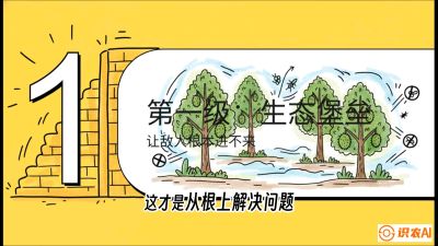 第七节：榴莲防御战：病虫害三级立体防控，疫霉菌与虫害的立体封锁线，课程：《国产榴莲突围战：从泰国经验到中国实操的8堂必修课（高阶实战版）》