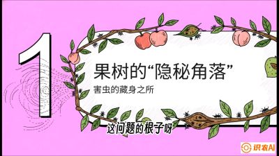 第3节：无人机专治&ldquo;打不透&rdquo;&mdash;&mdash;果树与高杆作物的穿透技巧，课程：《无人机植保搞钱必修课：从&ldquo;瞎飞&rdquo;到&ldquo;懂行&rdquo;的6步进阶》