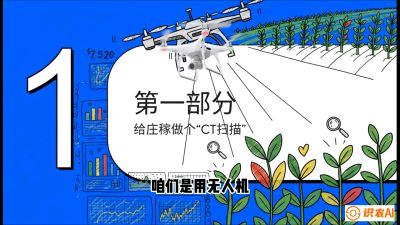 第5节：无人机也能&ldquo;看病抓药&rdquo;&mdash;&mdash;处方图与变量施肥入门，课程：《无人机植保搞钱必修课：从&ldquo;瞎飞&rdquo;到&ldquo;懂行&rdquo;的6步进阶》