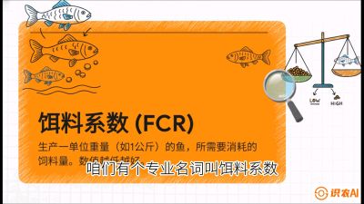 第五节：【高端单品&middot;鳜鱼】&ldquo;饲料鳜&rdquo;技术：打破吃活饵的高成本魔咒，课程：《黄金鳞甲：2025中国淡水鱼高效养殖实战营》