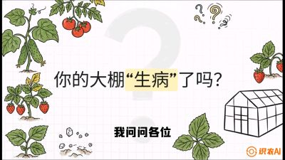 第2节（解毒篇）： 大棚里的&ldquo;红白绿&rdquo;警报&mdash;&mdash;读懂土壤盐渍化的求救信号，课程：《揭秘土壤的秘密：让土地帮你赚钱》#识农AI
