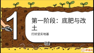 第6节（统筹篇）： 省钱又增产的&ldquo;黄金配比&rdquo;&mdash;&mdash;不同作物全年的养土实操方案，课程：《揭秘土壤的秘密：让土地帮你赚钱》#识农AI