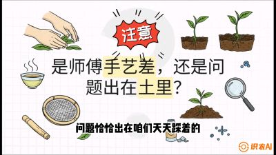 第02节（土肥篇）：告别&ldquo;苦涩水味&rdquo;：揭秘&ldquo;碳氮比&rdquo;调控术，种出自带兰花香的好茶底，课程：《茶金时代：从&ldquo;看天吃饭&rdquo;到&ldquo;精准控局&rdquo;的茶叶高产提质实战课》