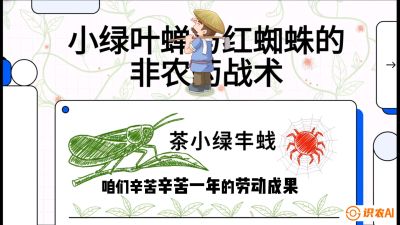 第03节（虫害篇）：看不见的吸血鬼：小绿叶蝉与红蜘蛛的&ldquo;非农药&rdquo;团灭战术（抗性治理），课程：《茶金时代：从&ldquo;看天吃饭&rdquo;到&ldquo;精准控局&rdquo;的茶叶高产提质实战课》