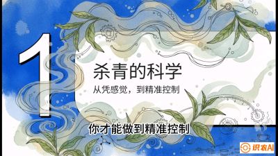 第05节（加工篇）：决胜2分钟：用&ldquo;数字温控&rdquo;破解杀青不匀，复刻大师级手工口感，课程：《茶金时代：从&ldquo;看天吃饭&rdquo;到&ldquo;精准控局&rdquo;的茶叶高产提质实战课》
