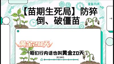 第2节：【苗期生死局】防猝倒、破僵苗，决定后期产量的&ldquo;黄金20天&rdquo;，课程：《辣椒种植实战特训营，从工业辣椒到精品小米辣，教你如何把&ldquo;草&rdquo;种成&ldquo;金&rdquo;》