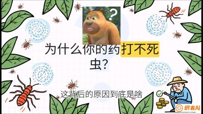 第4节：【虫害歼灭战】打不死的蓟马、隐形的茶黄螨：抗性时代的&ldquo;混配绝杀&rdquo;，课程：《辣椒种植实战特训营，从工业辣椒到精品小米辣，教你如何把&ldquo;草&rdquo;种成&ldquo;金&rdquo;》