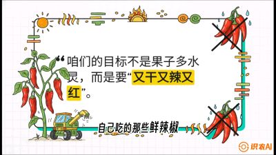 第7节：【工业辣椒专场】追求极致辣度！干物质提升与机械化采收的&ldquo;催红秘籍&rdquo;，课程：《辣椒种植实战特训营，从工业辣椒到精品小米辣，教你如何把&ldquo;草&rdquo;种成&ldquo;金&rdquo;》