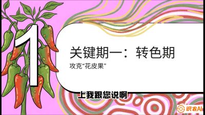 第8节：【小米辣线椒专场】颜值即正义！防花皮、防炭疽，打造收购商抢着要的&ldquo;精品果&rdquo;，课程：《辣椒种植实战特训营，从工业辣椒到精品小米辣，教你如何把&ldquo;草&rdquo;种成&ldquo;金&rdquo;》