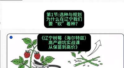 第一节： 选种与规划&mdash;&mdash;为什么在辽宁我们要&ldquo;砍&rdquo;着种？，课程：《辽宁树莓（海尔特兹）高产避坑实战课：从保苗到高价》