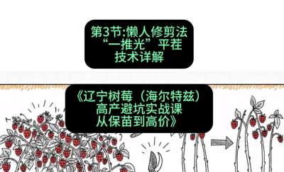 第三节： 懒人修剪法&mdash;&mdash;&ldquo;一推光&rdquo;平茬技术详解，课程：《辽宁树莓（海尔特兹）高产避坑实战课：从保苗到高价》