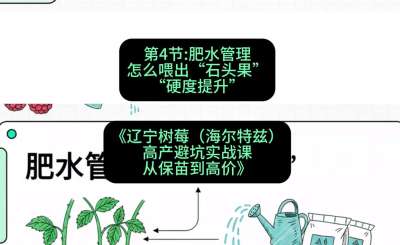 第四节： 肥水管理&mdash;&mdash;怎么喂出&ldquo;石头果&rdquo;（硬度提升），课程：《辽宁树莓（海尔特兹）高产避坑实战课：从保苗到高价》