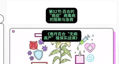 第02节：百合的&ldquo;癌症&rdquo;&mdash;&mdash;病毒病的阻断与急救，课程：《卷丹百合&ldquo;无病高产&rdquo;植保实战课》#识农AI