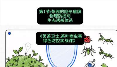 第01节：茶园的&ldquo;隐形盾牌&rdquo;&mdash;&mdash;物理防控与生态诱杀体系，课程：《茗茶卫士&mdash;&mdash;茶叶病虫害绿色防控实战课》#识农AI