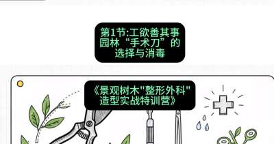第01节：工欲善其事&mdash;&mdash;园林&ldquo;手术刀&rdquo;的选择与消毒，课程：《景观树木&ldquo;整形外科&rdquo;造型实战特训营》#识农AI
