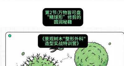第02节：万物皆可盘&mdash;&mdash;&ldquo;精球形&rdquo;修剪的圆润秘籍，课程：《景观树木&ldquo;整形外科&rdquo;造型实战特训营》#识农AI