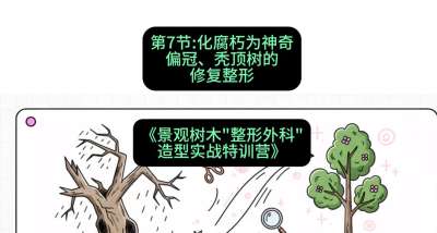 第07节：化腐朽为神奇&mdash;&mdash;偏冠、秃顶树的修复整形，课程：《景观树木&ldquo;整形外科&rdquo;造型实战特训营》#识农AI