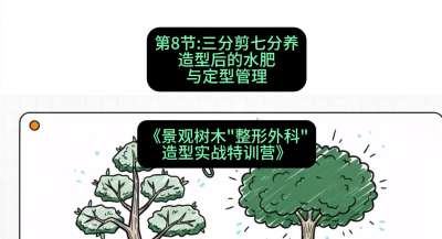 第08节：三分剪七分养&mdash;&mdash;造型后的水肥与定型管理，课程：《景观树木&ldquo;整形外科&rdquo;造型实战特训营》#识农AI