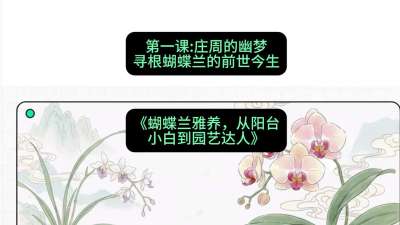第一节：庄周的幽梦：寻根蝴蝶兰的前世今生，课程：《蝴蝶兰雅养六讲：从阳台小白到园艺达人》#识农AI
