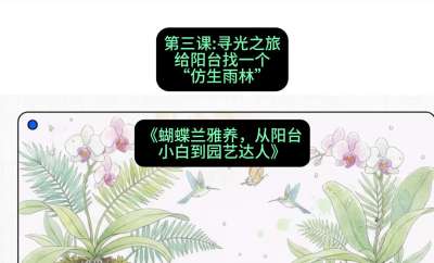 第三节：寻光之旅：给阳台找一个&ldquo;仿生雨林&rdquo;，课程：《蝴蝶兰雅养六讲：从阳台小白到园艺达人》#识农AI