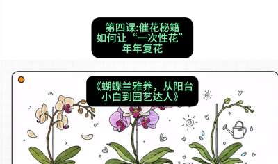 第四节：催花秘籍：如何让&ldquo;一次性花&rdquo;年年复花，课程：《蝴蝶兰雅养六讲：从阳台小白到园艺达人》#识农AI