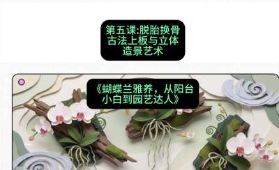 第五节：脱胎换骨：古法上板与立体造景艺术，课程：《蝴蝶兰雅养六讲：从阳台小白到园艺达人》#识农AI