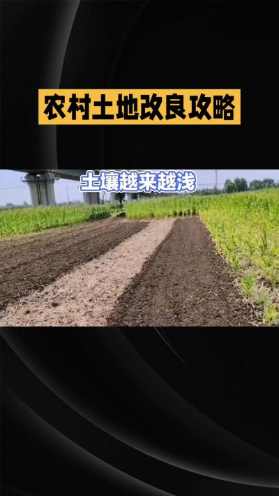 1. 先搞懂：你到底要改良哪块地、种什么
 
- 土土土在哪里？
就是你自家农田、菜地、果园，哪块地想种庄稼，就测哪块地的土。
​
- 有水没有水？
有水能浇：改良更省事，施肥、调酸碱都好操作。
没水