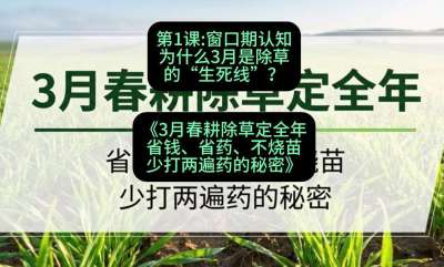 第1节：窗口期认知，为什么3月是除草的&ldquo;生死线&rdquo;？，课程：《3月春耕除草定全年：省钱、省药、不烧苗、少打两遍药的秘密》
