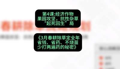 第4节：经济作物果园攻坚，抗性杂草&ldquo;起死回生&rdquo;局，课程：《3月春耕除草定全年：省钱、省药、不烧苗、少打两遍药的秘密》
